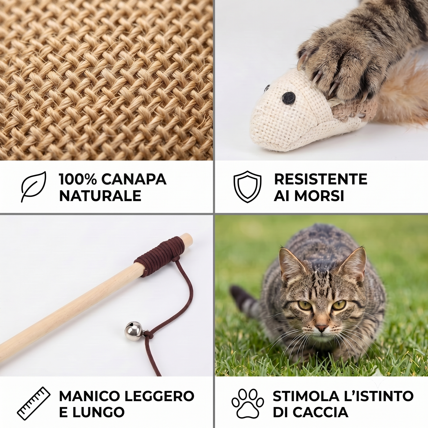 Gioco Interattivo in Sisal con Bacchetta