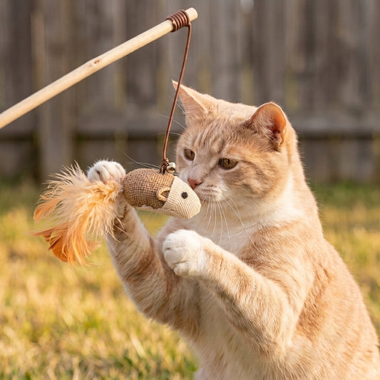 Gioco Interattivo in Sisal con Bacchetta